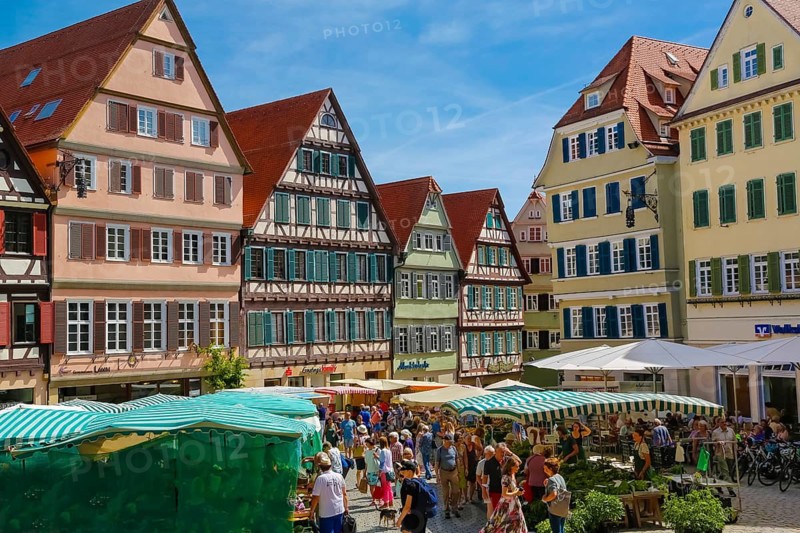 Historic old town, market square, market, market stalls, market umbrellas, people, houses, university town, Tübingen, Baden-Württemberg, Germany