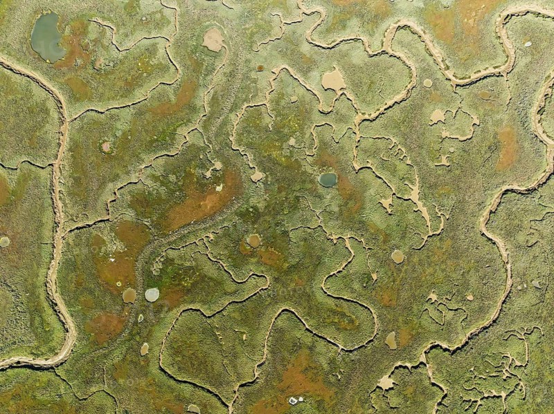 Network of channels and streams at low tide. In the marshland of the Piedras River. Aerial view. Drone shot. Huelva province, Andalusia, Spain