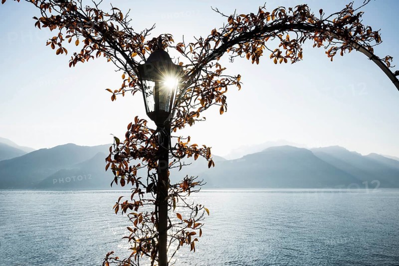 Lake promenade, morning mood, spring, Menaggio, Como province, Lake Como, Lago di Como, Lombardy, Italy