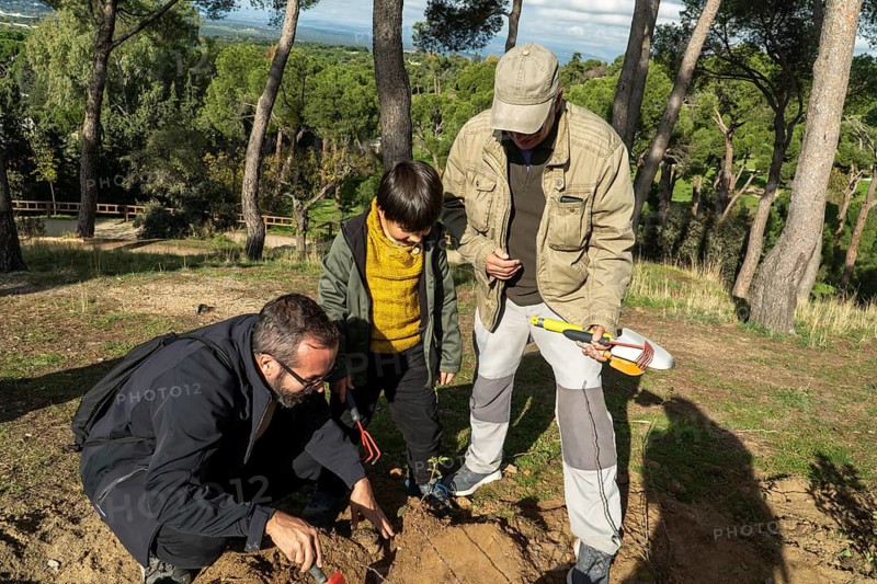 A father, son, and grandfather work together to replant trees in an urban park or forest, engaging in eco-sustainable activities to enhance community greenery and foster environmental stewardship