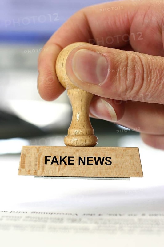 Stamp, wooden stamp, inscription: Fake news, false reports