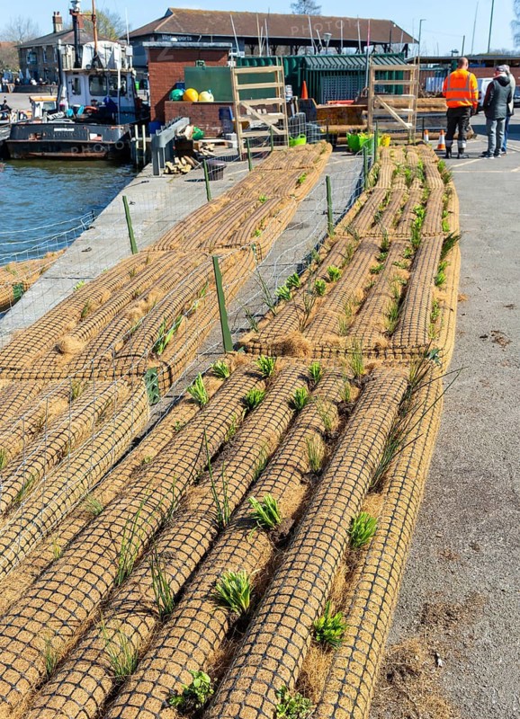 Biomatrix floating plant ecosystem products being prepared for use in the Floating Harbour, Bristol, England, UK