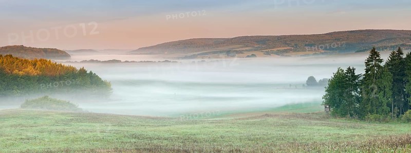 View of meadow on hilly landscape in the southern Harz at sunrise, morning fog in the valleys, near Questenberg, Harz, Saxony-Anhalt, Germany