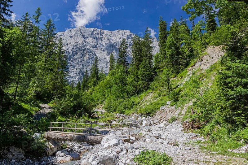 Enger Grund Creek in the Nature conservancy area Grosser Ahornboden. Sycamore maple trees, Acer pseudoplatanus, in summer. Karwendel mountains in the background. Austria