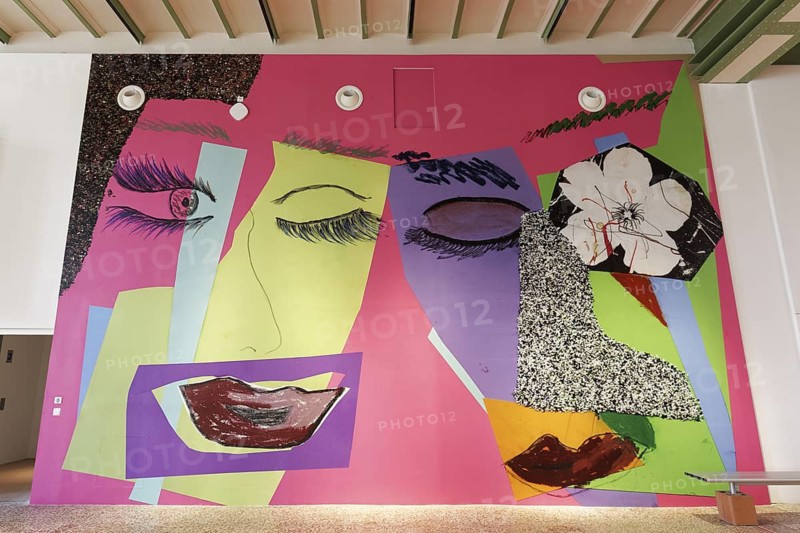 Collage mural by artist Mickalen Thomas, Grand Palais foyer, exhibition hall, Paris, France