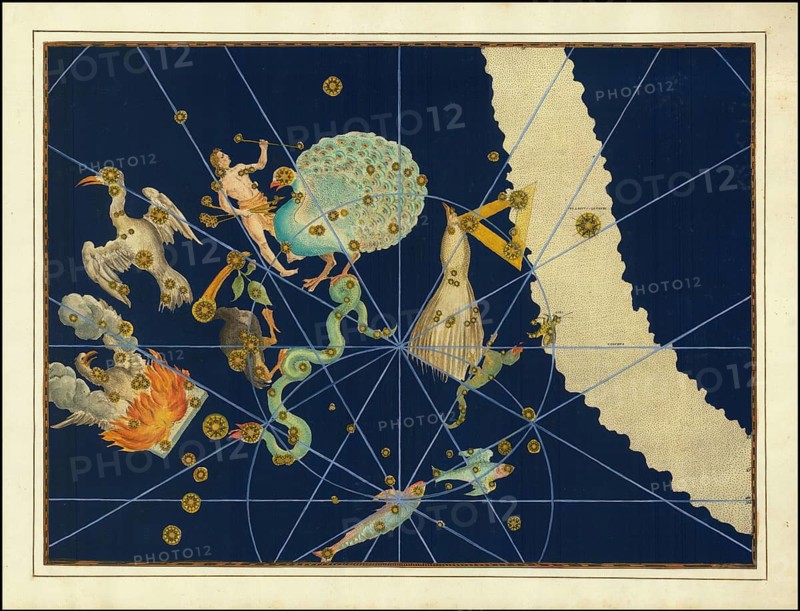 Astronomy. The celestial atlas, the Uranometria, Ptolemaic constellations, by Johann Bayer (1572 - 7 March 1625), German astronomer, Pavo, constellation Peacock, digitally enhanced reproduction of a historical model