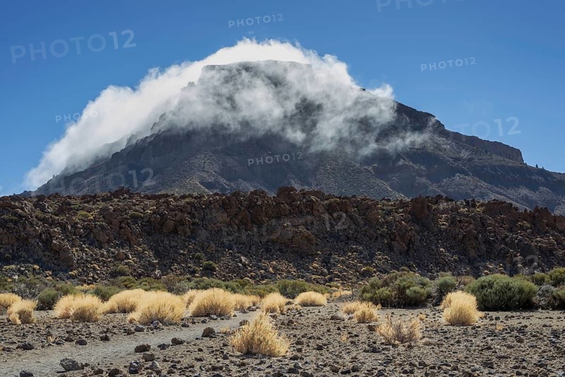 Faded Teide gorse and the summit of Montaña Guajara, also: Alto de Guajara, 2715m, crater walls, Caldera de las Cañadas, a huge volcanic cauldron, Teide National Park, Parque Nacional del Teide, Tenerife, Canary Islands, Spain