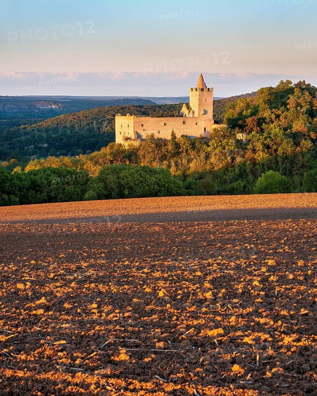 View over a ploughed field of Rudelsburg Castle ruins in the evening light, Saale valley near Bad Kösen in autumn, Naumburg, Saxony-Anhalt, Germany