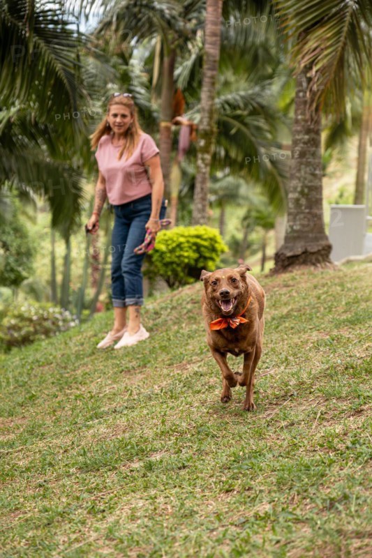 A dog running in the park towards the camera, with its owner in the background holding the leash, watching with joy and encouraging it to play