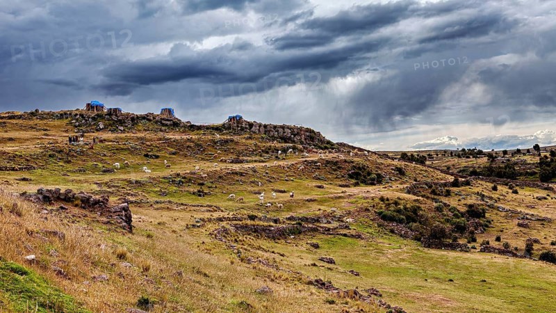 Wide landscape with grazing sheep under a menacing cloudy sky, The Chullpas of Sillustani near Puno in Peru