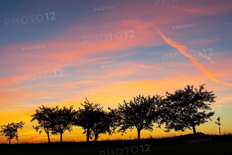 Trees silhouetted against a colourful evening sky at sunset, Stolpen, Saxony, Germany
