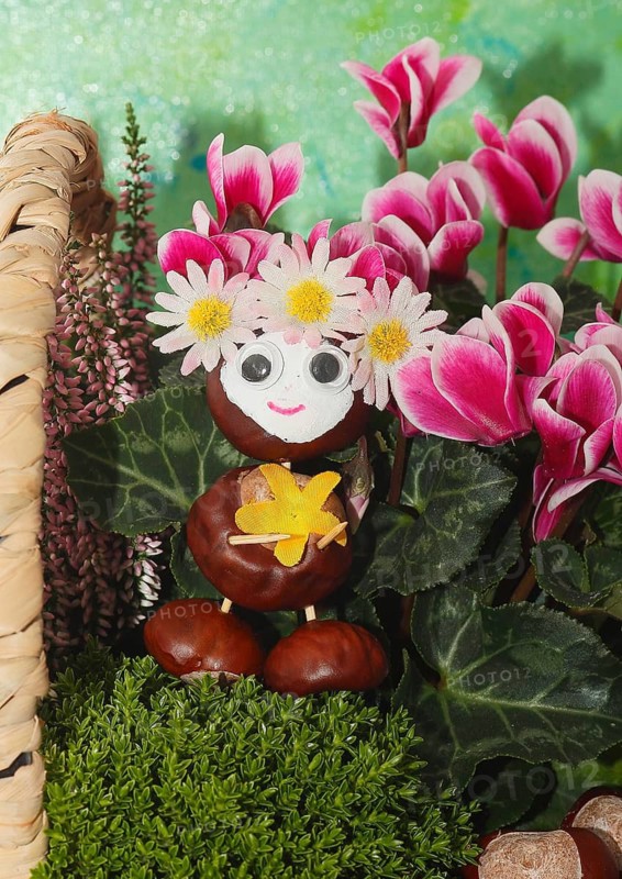Funny chestnut figure in a flower basket with flower decoration, North Rhine-Westphalia, Germany
