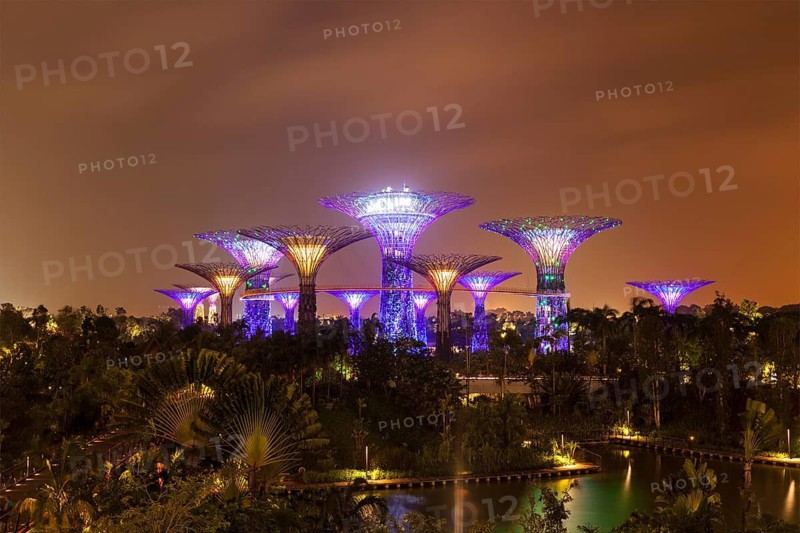 SINGAPORE, DECEMBER 31, 2013: Night view of Supertree Grove at Gardens by the Bay. Futuristic park spans 101 hectares is to become Singapore premier urban outdoor recreation space and national icon