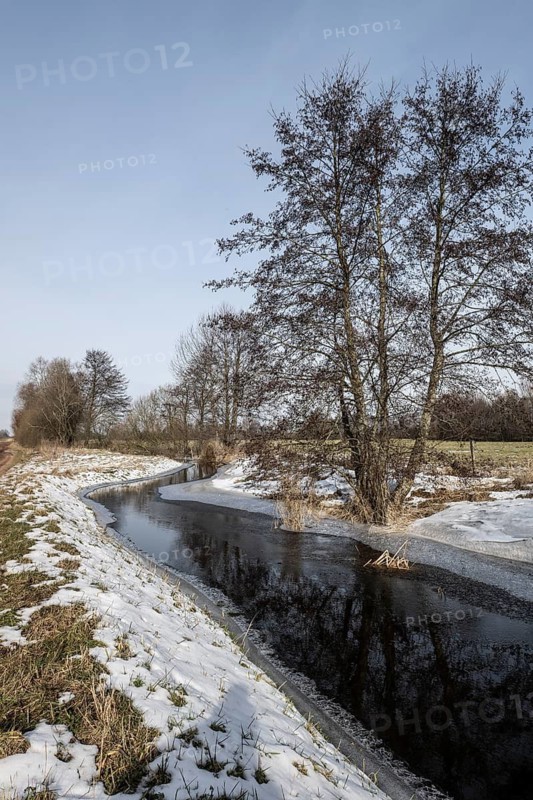 Stream with alders (Alnus glutinosa), Fischerhuder Wümmeniederung, Lower Saxony, Germany