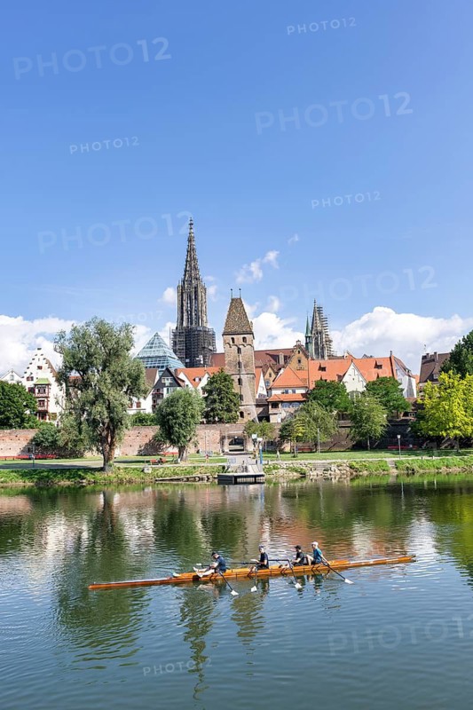 City view, Danube bank with historic old town, fishermen's quarter, cathedral, rowing boat, sports boat, Ulm, Baden-Württemberg, Germany