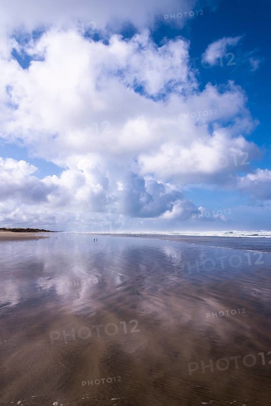 New Zealand, island town, Oceania, North Island of New Zealand, sea coast, clouds, white clouds, sandy beach, beach, 90 Mile Beach, Ninety Mile Beach, water reflection, reflection, reflection, water reflection