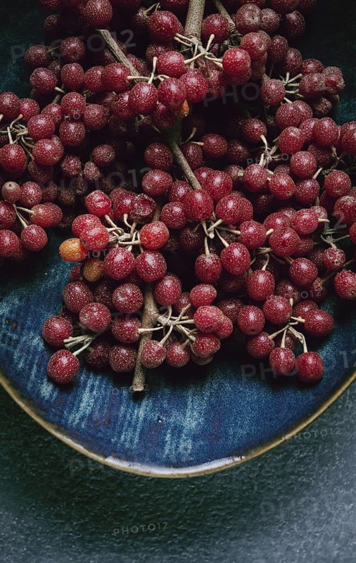 Shtoshi berry, Shepherd's pie, a hybrid of sea buckthorn and barberry, top view, no people