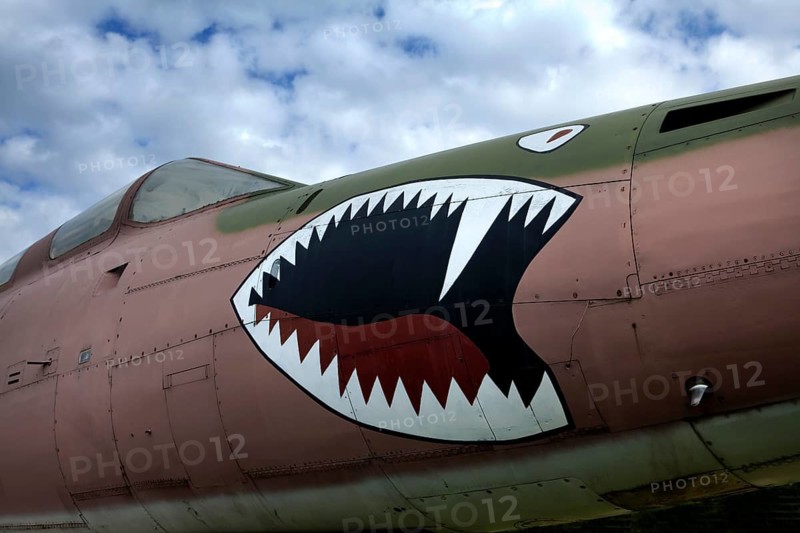 Aggressive animal, Detail of a Republic F-105 Thunderchief or Thud, belgian airforce, Aircraft Collection near Hermeskeil, Rhineland-Palatinate, Germany, Europe, Agressives Raubtiergebiss, Detail einer Republic F-105 Thunderchief oder Thud der belgischen Luftwaffe, ein Kampfflugzeug aus US-amerikanischer Produktion, 1963, Flugausstellung bei Hermeskeil, Hunsrück, Rheinland-Pfalz, Deutschland, Europa