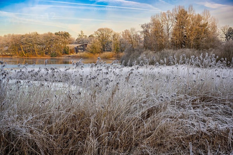 Winter hoarfrost at Ahlhorn fish ponds, Ahlhorn fish ponds, Ahlhorn, Lower Saxony, Germany