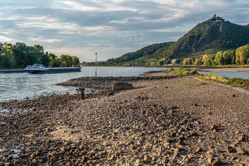 The Rhine at extremely low water, near Bad Honnef Rhöndorf, below the Drachenfels, Nonnenwerth Island, dry Rhine banks, cargo ship, with very reduced cargo, North Rhine-Westphalia, Germany