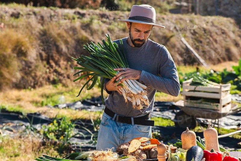 A man outdoors, preparing calsots for a traditional Catalan calsotada. The fresh onions symbolize rural life, local ingredients, and authentic Mediterranean culture
