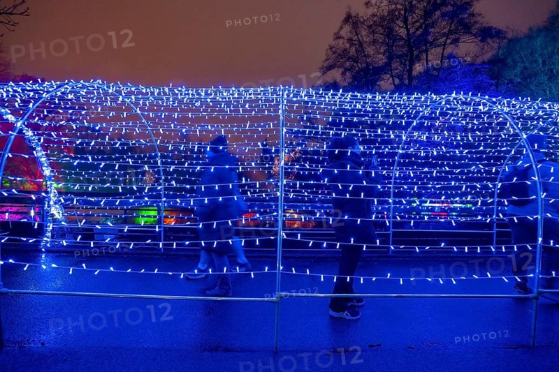 Park lights, events in winter, in the Grugapark in Essen, many different light installations, across the park, attract many thousands of visitors, Lichttunnel North-Rhine Westphalia, Germany