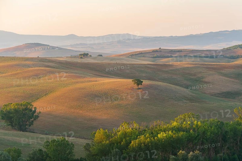 Typical Tuscan landscape in Val d'Orcia with hills, trees, fields, cypresses and farm road in autumn, La Foce, Tuscany, Italy