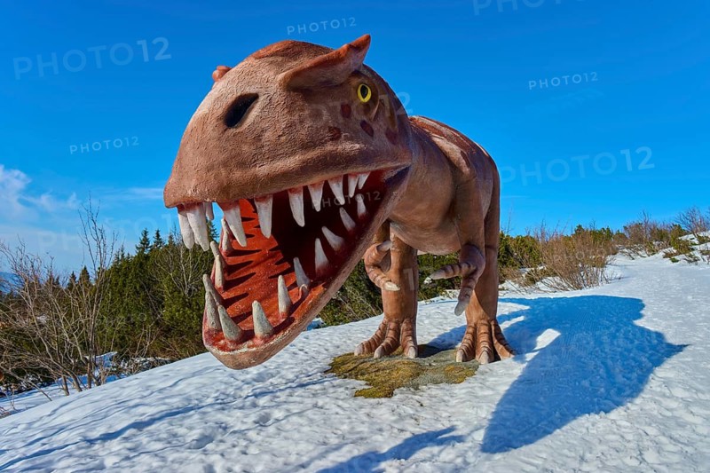 Tyrannosaurus rex, brown dinosaur sculpture with wide open mouth on snow, Triassic Park, Steinplatte, Waidring, Tyrol, Austria