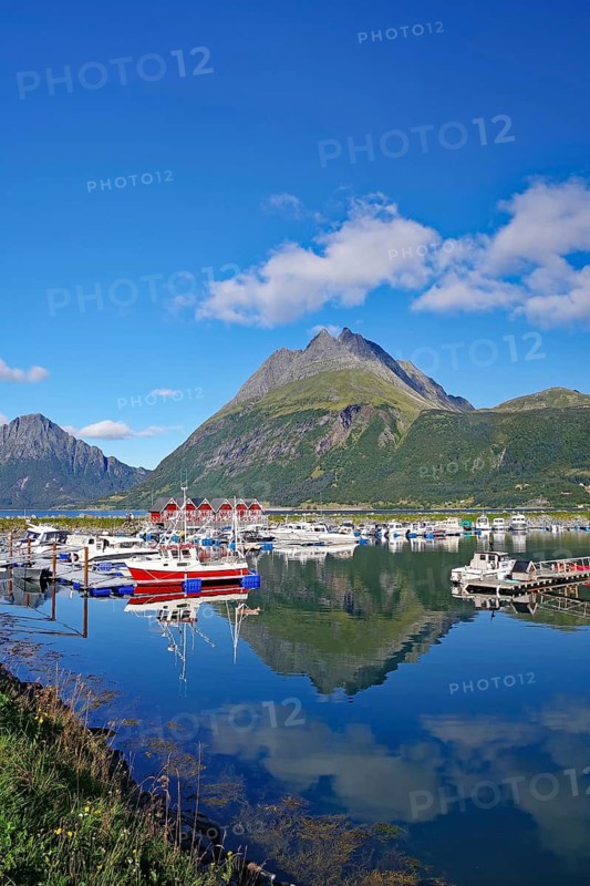 Wooden houses, small fishing boats and steep mountains reflected in the water of a harbour, Aldersund, FV 17, Kystriksveien, Nordland, Norway