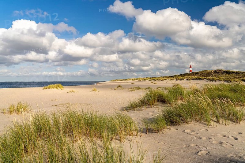 Dunes at the coast of Ellenbogen and the lighthouse List-Ost, List, island Sylt, district Nordfriesland, Schleswig-Holstein, Germany