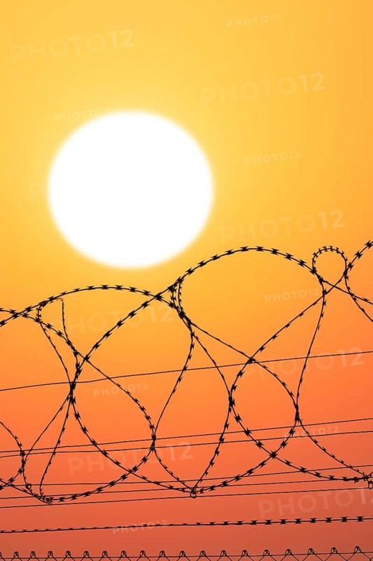 Symbolic image imprisonment, barbed wire fence in front of the sun, sunset, protective fence, locked in, locked out, Baden-Württemberg, Germany