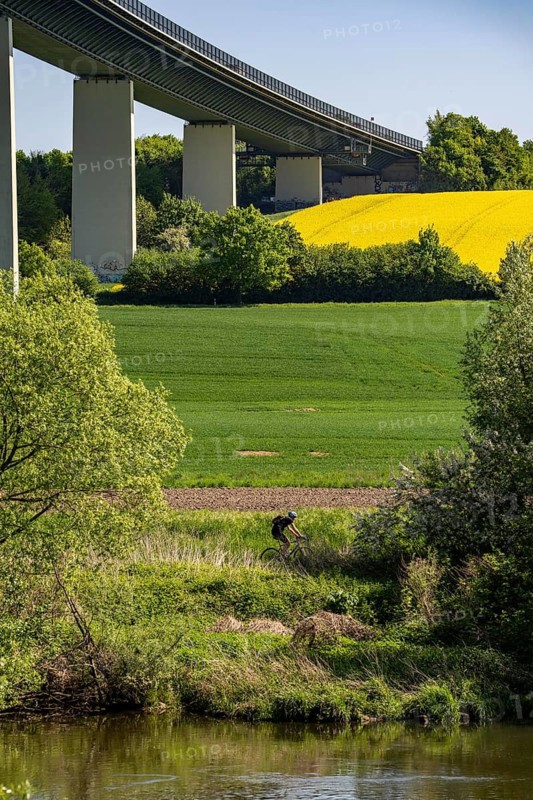 Ruhrauen near Mülheim-Mintard, the Mintarder bridge, motorway bridge over the Ruhr between Essen-Kettwig and Mülheim an der Ruhr, spring, rape fields in full bloom, North Rhine-Westphalia, Germany