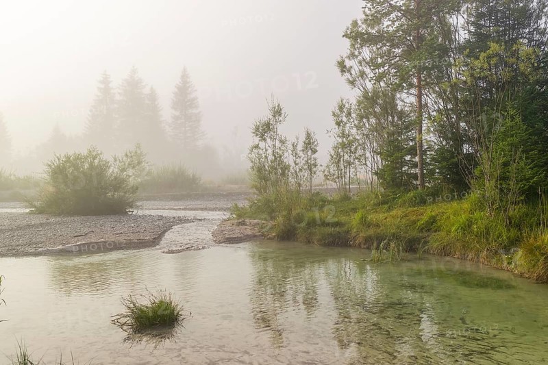Isar valley nature conservancy area. The wild Isar river flows through its gravel bed past driftwood and entrained trees and bushes . Early morning with dense fog