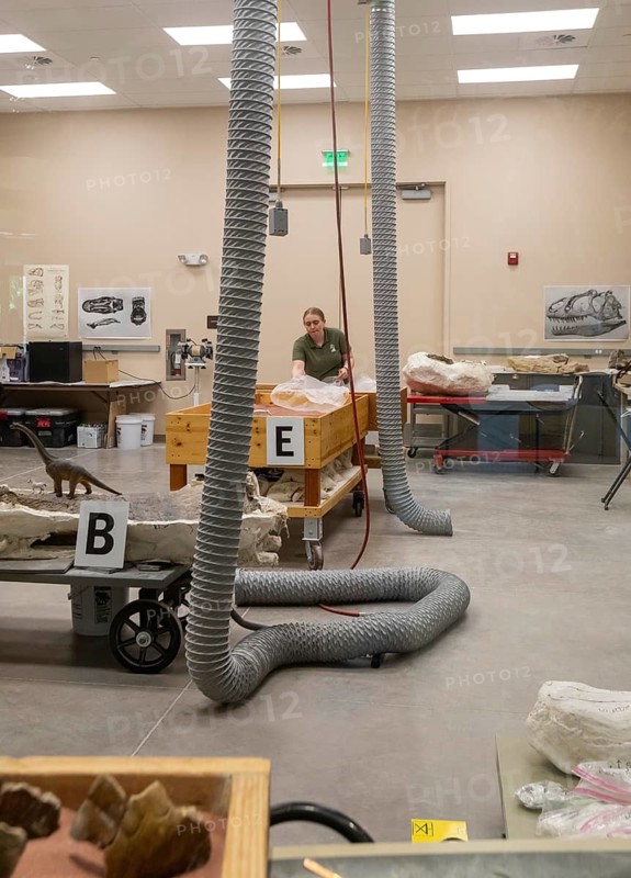 Vernal, Utah, The Utah Field House of Natural History State Park Museum displays dinosaur models, skeletons, bones, and fossils. Visitors can look through a window into the fossil preparation laboratory