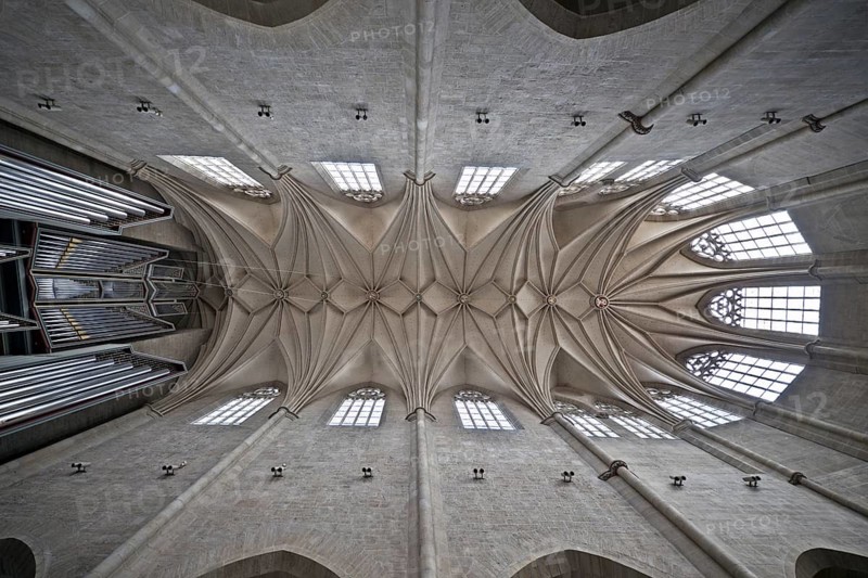 View of the vault in the central nave in St. Andrew's Church or St. Andreas, Hildesheim, Lower Saxony, Germany