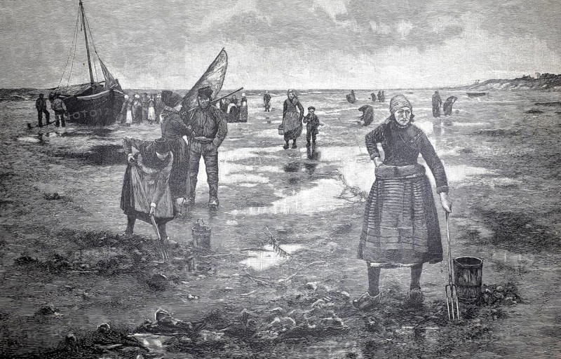 On the North Sea beach, fisherwomen digging for crabs in the mudflats, 1890, Germany, authentic, digitally restored reproduction from a 19th century model, exact date of depiction unknown, historical, group of people fishing on the beach in historical clothing under cloudy skies