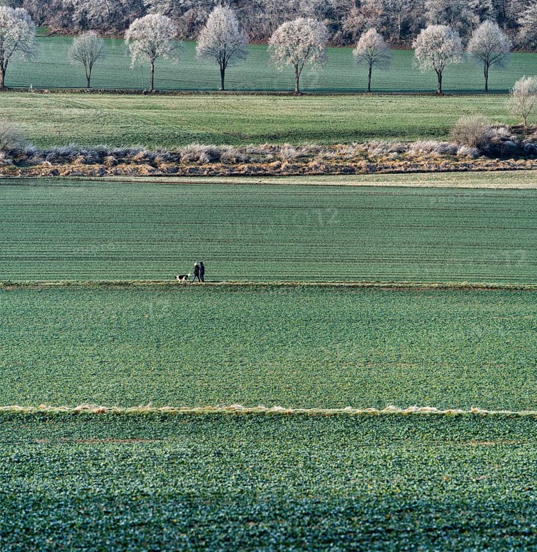 Landscape near Gewissenruh, Wesertal, Weserbergland, Hesse, Germany