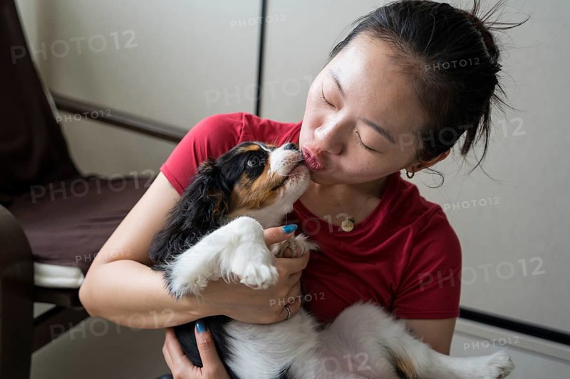 A young woman lovingly trains her Cavalier King Charles Spaniel in a cozy home setting. The connection and bonding between the owner and pet are evident in this heartwarming moment