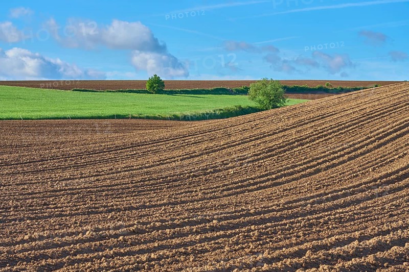 Landscape with potato field in spring, Großheubach, Miltenberg, Spessart, Bavaria, Germany