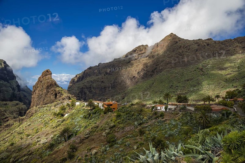 Masca mountain village, Masca Gorge, Barranco de Masca, Teno Mountains, Tenerife, Canary Islands, Spain