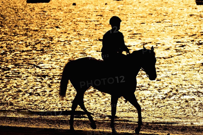 Silhouette of a jockey riding a horse along the beach at sunset during the traditional horse races of sanlucar de barrameda, cadiz, spain, creating a captivating scene of equestrian sport