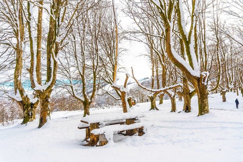 The snow-covered Oianleku natural park in the town of Oiartzun, next to Peñas de Aya in winter, Gipuzkoa. Basque Country