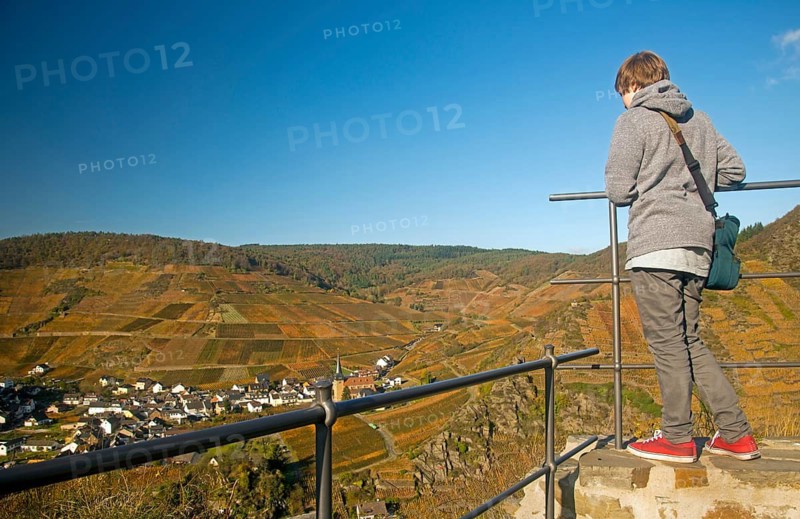Vineyards in autumn, Mayschoß, Ahr valley, red wine of the Pinot Noir and Portugieser grape is grown here, red wine growing region, Eifel, Rhineland-Palatinate, Germany