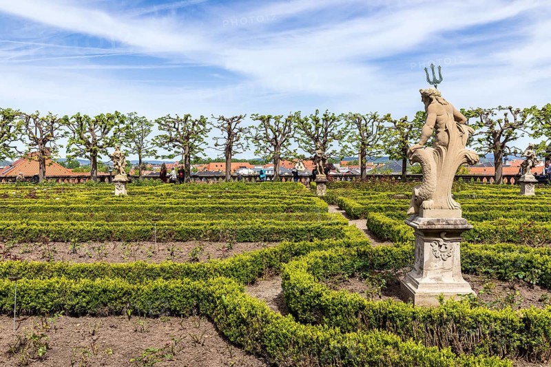 Rose garden with box hedges in the New Residence Palace in Bamberg, Bavaria, Germany