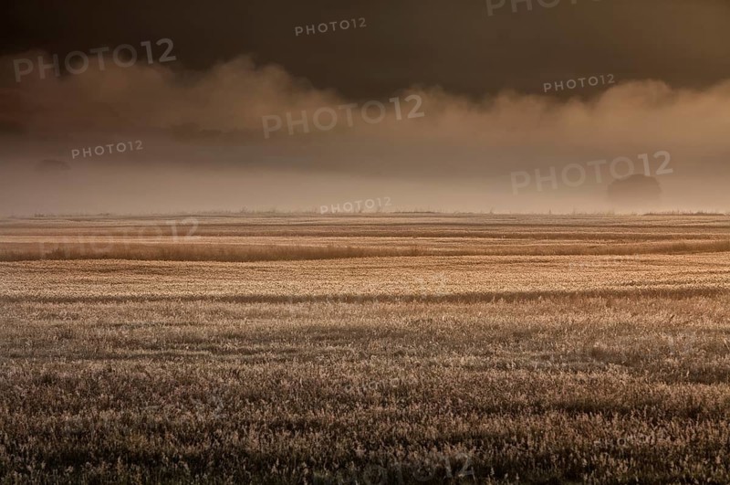 Foggy fantasy landscape, Germany, Europe, digitally edited