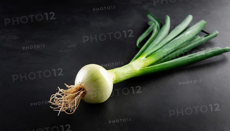 Vegetable, spring onion or spring onion, also known as winter onion, Allium fistulosum