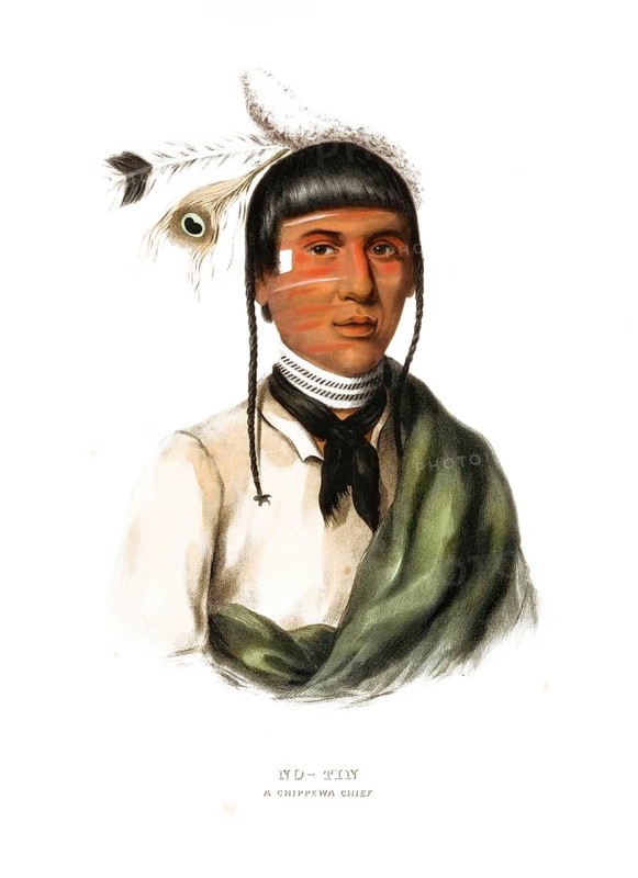 American Indian, Native American, No-Tin, Chief of the Chippewa tribe, United States of America, USA, Painting by Charles Bird King (1785, 1862), c. 1840, Historic, digitally restored reproduction from a 19th century original, Record date not stated