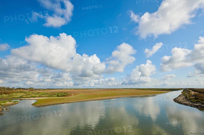 Landscape of clouds flying over a little river, Camargue, France
