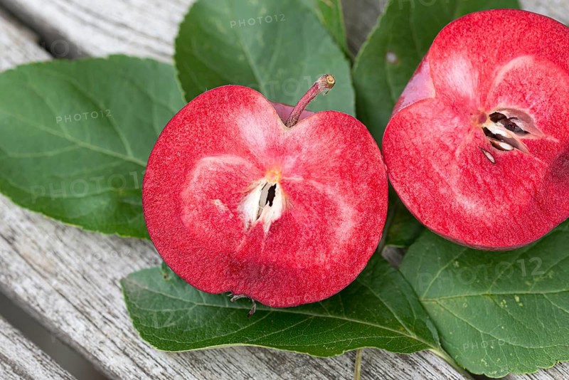 Apple (Malus domestica REDLOVE ERA),  Germany