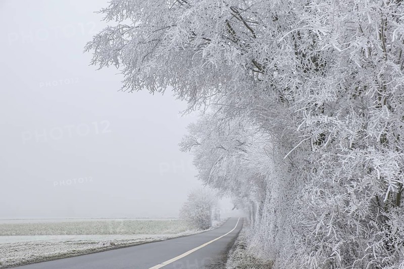Landscape with fog and hoarfrost, elevation Schöppinger Berg, Schöppingen, Münsterland, North Rhine-Westphalia, Germany
